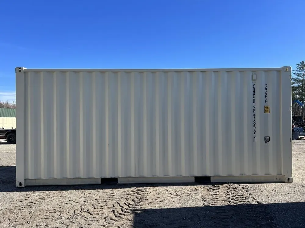 20-Fuß-Lagercontainer One-Trip mit Seitentüren, beige