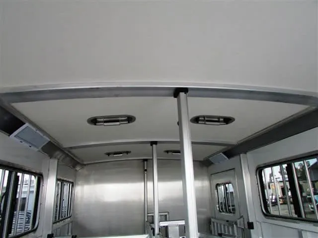 2019 Cimarron Showstar 6 pen — view 9
