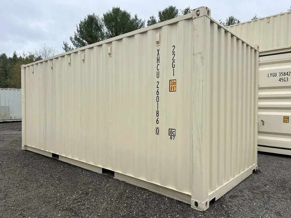 20-Fuß-Lagercontainer One-Trip in Standardhöhe, beige